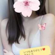 ヒメ日記 2025/11/29 23:20 投稿 おと 天使のゆびさき 船橋店(カサブランカグループ)