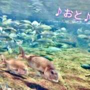 ヒメ日記 2025/12/07 14:48 投稿 おと 天使のゆびさき 船橋店(カサブランカグループ)