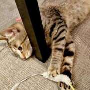 ヒメ日記 2025/12/08 12:26 投稿 おと 天使のゆびさき 船橋店(カサブランカグループ)