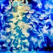 ヒメ日記 2025/12/12 15:22 投稿 おと 天使のゆびさき 船橋店(カサブランカグループ)