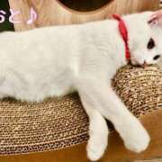 ヒメ日記 2025/12/15 13:42 投稿 おと 天使のゆびさき 船橋店(カサブランカグループ)