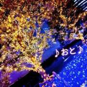 ヒメ日記 2025/12/24 12:32 投稿 おと 天使のゆびさき 船橋店(カサブランカグループ)