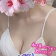 ヒメ日記 2026/01/22 00:16 投稿 おと 天使のゆびさき 船橋店(カサブランカグループ)