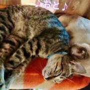 ヒメ日記 2026/02/05 17:14 投稿 おと 天使のゆびさき 船橋店(カサブランカグループ)