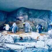 ヒメ日記 2026/02/06 07:02 投稿 おと 天使のゆびさき 船橋店(カサブランカグループ)