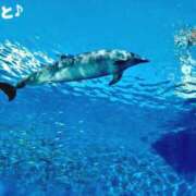 ヒメ日記 2026/03/01 12:18 投稿 おと 天使のゆびさき 船橋店(カサブランカグループ)