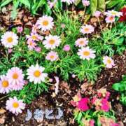 ヒメ日記 2026/03/29 13:38 投稿 おと 天使のゆびさき 船橋店(カサブランカグループ)