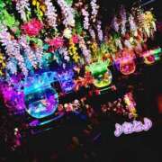 ヒメ日記 2026/04/03 11:14 投稿 おと 天使のゆびさき 船橋店(カサブランカグループ)