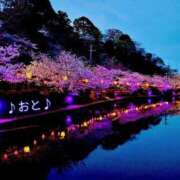 ヒメ日記 2026/05/02 20:08 投稿 おと 天使のゆびさき 船橋店(カサブランカグループ)