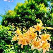 ヒメ日記 2026/06/22 12:54 投稿 おと 天使のゆびさき 船橋店(カサブランカグループ)