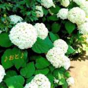 ヒメ日記 2026/06/25 09:26 投稿 おと 天使のゆびさき 船橋店(カサブランカグループ)