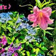 ヒメ日記 2026/07/12 15:02 投稿 おと 天使のゆびさき 船橋店(カサブランカグループ)