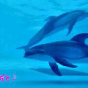 ヒメ日記 2026/07/20 13:02 投稿 おと 天使のゆびさき 船橋店(カサブランカグループ)