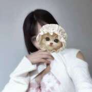 ヒメ日記 2025/11/14 17:31 投稿 かなみ【甘えん坊なHちゃん】 STELLA TOKYO－ステラトウキョウ－