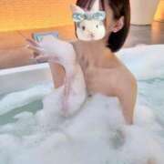 ヒメ日記 2025/11/18 15:05 投稿 かなみ【甘えん坊なHちゃん】 STELLA TOKYO－ステラトウキョウ－