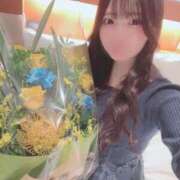 ヒメ日記 2025/11/24 08:16 投稿 りんね ウルトラブレイズ