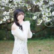 ヒメ日記 2026/04/06 06:57 投稿 りんね ウルトラブレイズ