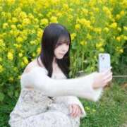 ヒメ日記 2026/04/28 06:16 投稿 りんね ウルトラブレイズ