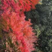 美織（みおり） H様⛳️ DIVA-ディーバ-【DIVAグループ】