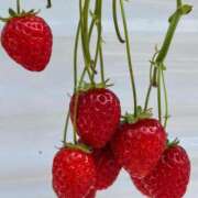 ヒメ日記 2026/03/21 21:43 投稿 美織（みおり） DIVA-ディーバ-【DIVAグループ】