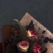 ★まみ★ こんばんはー！ エロリスト富士