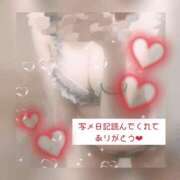 すみれ ごめんね・・・💦 桃色奥様 松戸本店