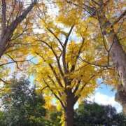 ヒメ日記 2025/11/24 20:27 投稿 ななせ 熟女家 梅田店