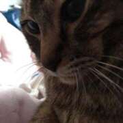 ヒメ日記 2026/01/30 23:37 投稿 ななせ 熟女家 梅田店