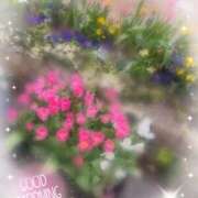 ヒメ日記 2026/02/25 07:46 投稿 れいか 横浜ミセスアロマ（ユメオト）