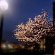 ヒメ日記 2026/03/24 23:12 投稿 れいか 横浜ミセスアロマ（ユメオト）