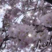 ヒメ日記 2026/03/29 17:55 投稿 れいか 横浜ミセスアロマ（ユメオト）