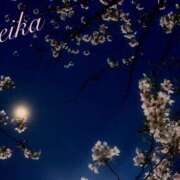 ヒメ日記 2026/04/01 11:38 投稿 れいか 横浜ミセスアロマ（ユメオト）