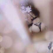 ヒメ日記 2026/04/02 18:12 投稿 れいか 横浜ミセスアロマ（ユメオト）