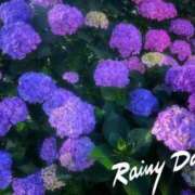 ヒメ日記 2026/06/01 10:37 投稿 れいか 横浜ミセスアロマ（ユメオト）