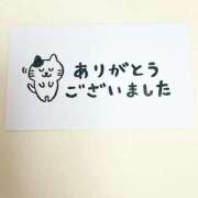 ヒメ日記 2025/11/27 08:07 投稿 倉本　みわ スッキリ商事