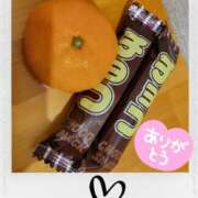 ヒメ日記 2025/12/16 18:15 投稿 倉本　みわ スッキリ商事