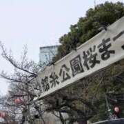 ヒメ日記 2026/03/22 14:40 投稿 みずほ マダム錦糸町