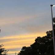 ヒメ日記 2025/10/31 11:03 投稿 西澤 まなみ ミセス・レヴォアール～再会～