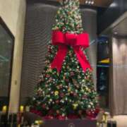 ヒメ日記 2025/12/16 22:02 投稿 るり Number Five 品川（シンデレラグループ）