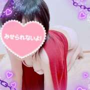 ヒメ日記 2025/11/27 09:40 投稿 高島(たかしま)体験入店♡ 秘密の逢瀬…○○妻(西条・東予・今治)