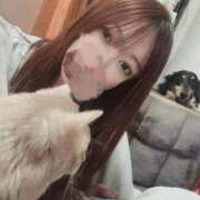 ヒメ日記 2025/11/12 03:49 投稿 由紀奈-Yukina- 姉新地