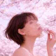 ヒメ日記 2026/03/25 07:46 投稿 緑川晴希 五十路マダム金沢店