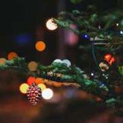 ヒメ日記 2025/12/10 00:48 投稿 園田 とおこ HANA-okinawa-