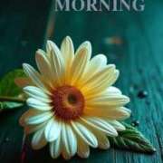 ヒメ日記 2026/01/27 08:45 投稿 園田 とおこ HANA-okinawa-