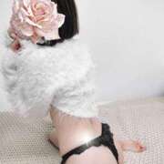 ヒメ日記 2026/01/31 01:03 投稿 園田 とおこ HANA-okinawa-