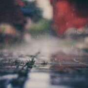 ヒメ日記 2026/03/06 00:48 投稿 園田 とおこ HANA-okinawa-