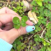 ヒメ日記 2026/01/04 23:18 投稿 花沢 れいか HANA-okinawa-