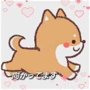 ヒメ日記 2025/11/02 15:27 投稿 椿 優子 昼妻夜 滋賀店