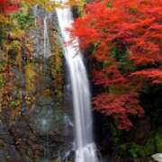 ヒメ日記 2025/11/28 15:33 投稿 椿 優子 昼妻夜 滋賀店