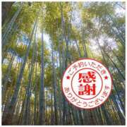 ヒメ日記 2025/12/19 12:18 投稿 椿 優子 昼妻夜 滋賀店